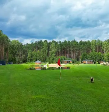 Centrum przepięknego lasu