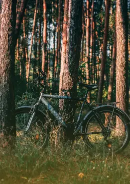 Wycieczki rowerowe