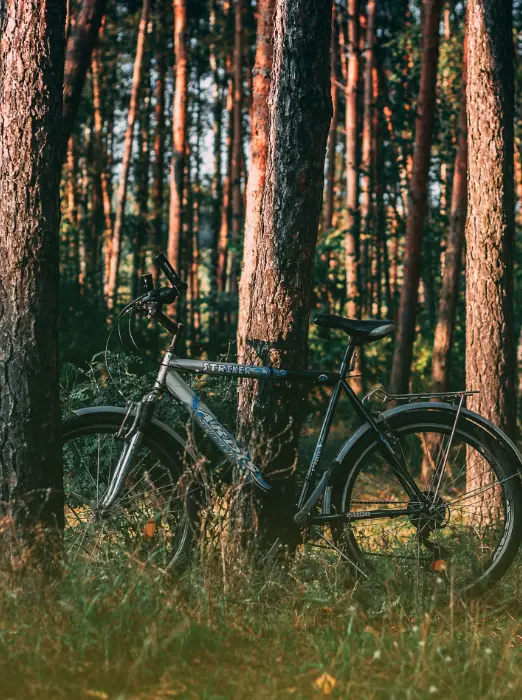 Szlaki rowerowe